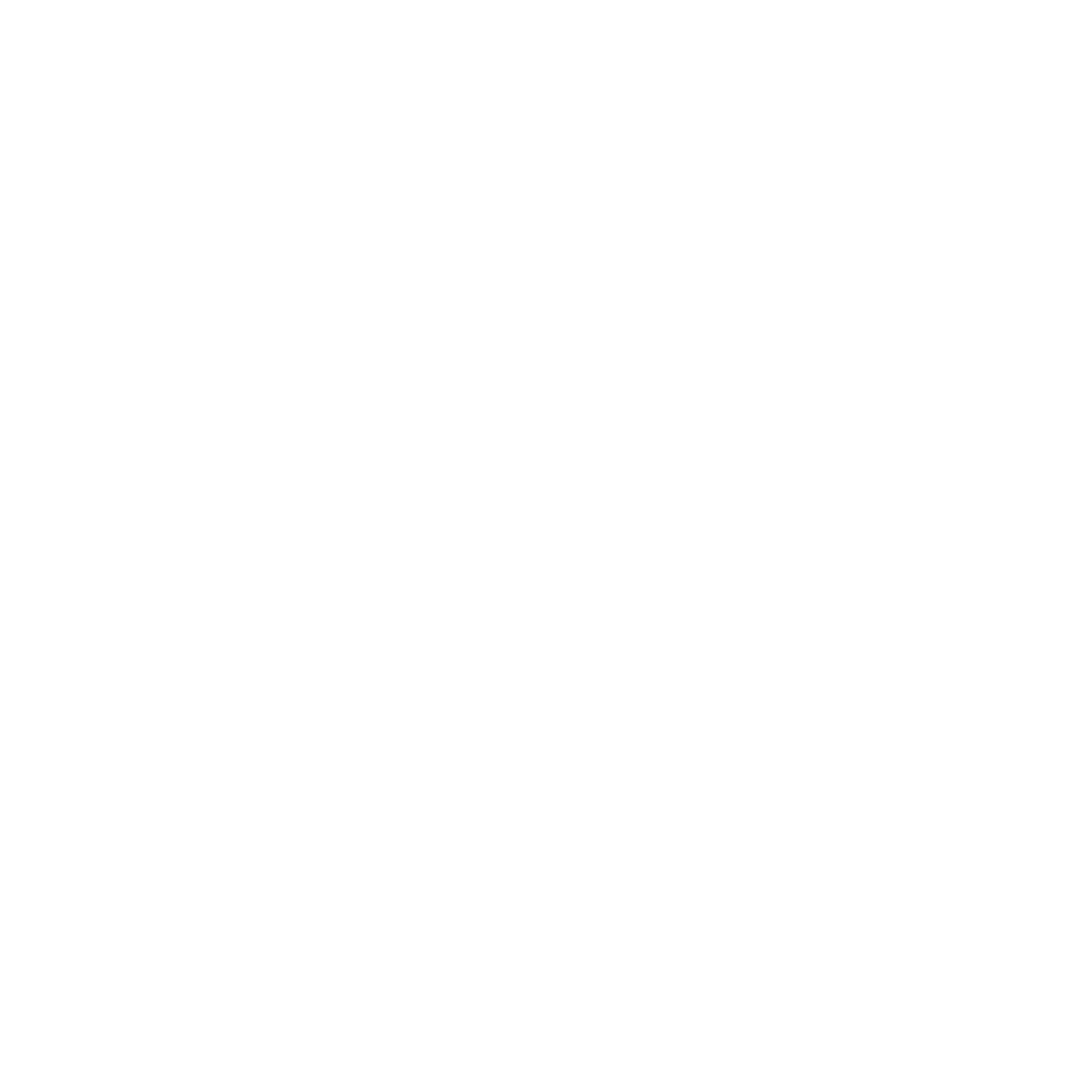 Techo Lab Logo