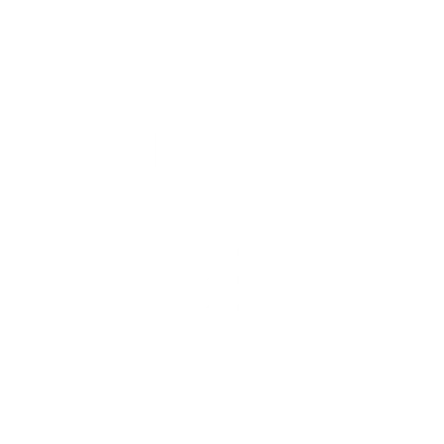 Techo Lab Logo
